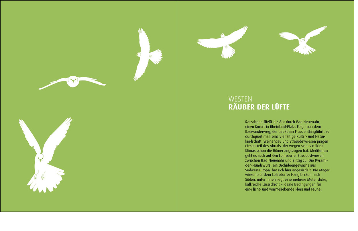 Erdgeschoss Grafik | Esther Gonstalla | Book Design | Wild Animals in Germany